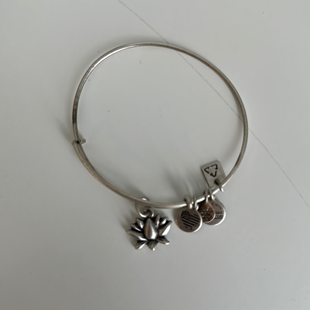 ALEX AND ANI